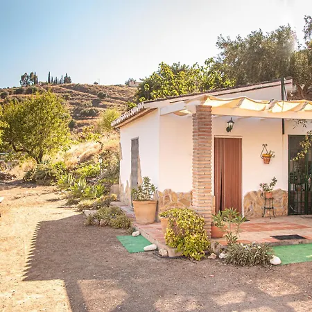 Alegre Y Olé Málaga